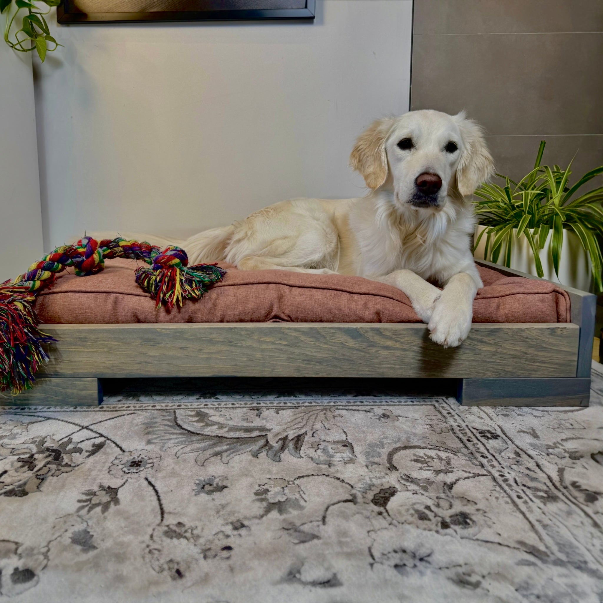 Lit pour chien